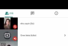 Luca Ve E-Defter Online 1.eğitimi Skype Üzerinden Ömer Mete Bülbül'ün Sunumuyla Gerçekleşmiştir