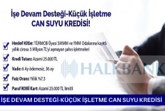 İşe Devam Desteği-Küçük İşletme Can Suyu Kredisi