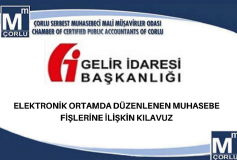 Elektronik Ortamda Düzenlenen Muhasebe Fişlerine İlişkin Kılavuz