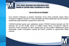 ''denetim Denetimdir'' Türmob Basın Bülteni