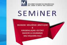 Dijital Dönüşüm Sürecinde Muhasebe Mesleğinde Kurumsallaşma