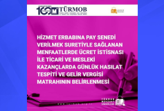 Hizmet Erbabına Pay Senedi Verilmek Suretiyle Sağlanan Menfaatlerde Ücret İstisnası ile Ticari ve Mesleki Kazançlarda Günlük Hasılat Tespiti ve Gelir Vergisi Matrahının Belirlenmesi