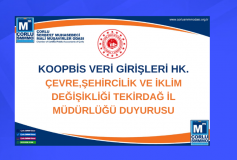 Koopbis Veri Girişleri Hk