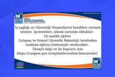 İşyerlerinde İşveren veya İşveren Vekili Tarafından Yürütülecek İş Sağlığı ve Güvenliği Hizmetlerine İlişkin Yönetmelik