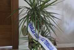 Mimarlar Odası Çorlu Temsilcisi Sayın Yurdanur Özsoy, Sayın Meral Terzioğlu ve Sayın Abdullah Altın, Yönetim Kurulu Başkanımız Ayşe Eroğlu’nu Ziyaret Etmişlerdir