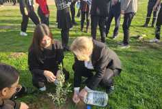 “Dikili Bir Ağacım Var” Projesine, 50 Adet Zeytin Fidesi bağışı ile katılım sağlanmıştır.