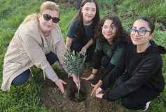 “Dikili Bir Ağacım Var” Projesine, 50 Adet Zeytin Fidesi bağışı ile katılım sağlanmıştır.