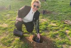 “Dikili Bir Ağacım Var” Projesine, 50 Adet Zeytin Fidesi bağışı ile katılım sağlanmıştır.