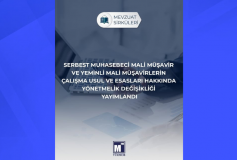 Serbest Muhasebeci Mali Müşavir ve Yeminli Mali Müşavirlerin Çalışma Usul Ve Esasları Hakkında Yönetmelik Değişikliği Yayımlandı