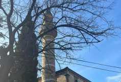 ''kazdağlari-Asos-Truva'' Kültür Gezisi, Yoğun Tempoda Çalişan Oda Üyeleri İçin Kisa Bir Mola Oldu