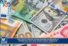 Özet Döviz Pozisyon Raporlamasinin Kaldirilmasi Ve Sistemik Risk Veri Takip Sistemi Kapsam Değişikliği