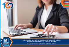 Elektronik Defter Ve Belgelerin İbrazina İlişkin Elektronik Veri İbraz Sistemi (E-Viz)