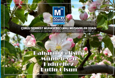 Hıdırellez, Kutlu Olsun...