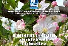 Hıdırellez, Kutlu Olsun...