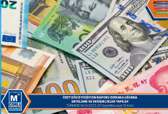 Özet Döviz Pozisyon Raporu Zorunuluğunda Erteleme Ve Değişiklikler Yapildi