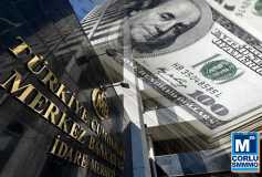 Özet Döviz Pozisyon Formu