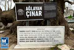 Bursa, Gölyazi, Mudanya Ve Tirilye Rotalarini Kapsayan Kültür Turu Sona Erdi