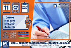 Sermaye Azaltiminda Vergilemenin Usulve Esaslari Belirlendi