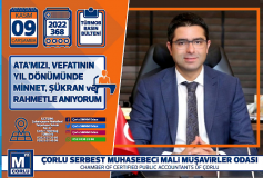 Türmob Basin Bülteni