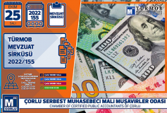 Bddk Tl Kredi Kullanimi İçin Öngörülen Yabanci Para Pozisyonuna İlişkin Sinirlamalari Daraltti