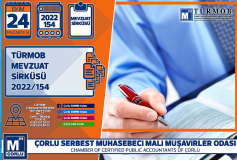 Türkiye Varlik Fonu İle Hissedari Olduğu Şirketlerin Mahiyet Kodlari İle İlgili Düzenleme Yapildi
