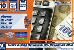 Vergi Denetim Kurulu Danişma Komisyonu Kararlari