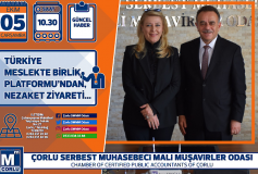 Türkiye Meslekte Birlik Platformu'ndan, Oda'miza Nezaket Ziyareti