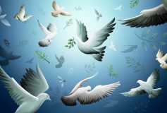 1 Eylül Dünya Bariş Günü Kutlu Olsun