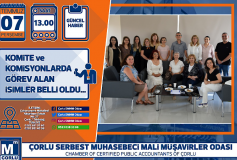 Komite Ve Komisyonlarda Görev Alan İsimler Belli Oldu