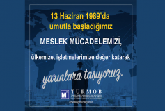 Türmob Basin Bülteni