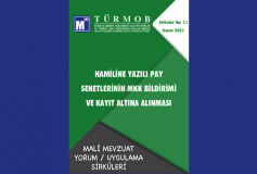 Mali Mevzuat Yorum/uygulama Sirküleri No:11