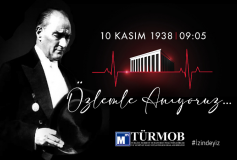 Türmob/basin Bülteni