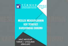 Mali Mevzuat Yorum/uygulama Sirküleri-Sirküler No:10