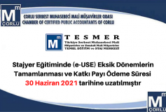 Tesmer/stajyer Eğitim (E-Use)