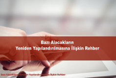 Bazı Alacakların Yeniden Yapılandırılmasına İlişkin Rehber