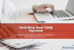 Bazı Varlıkların Ekonomiye Kazandırılması Hakkında Genel Tebliğ (Seri No: 1)