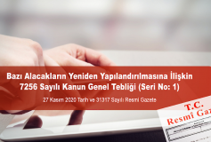 Bazı Alacakların Yeniden Yapılandırılmasına İlişkin 7256 Sayılı Kanun Genel Tebliği (Seri No: 1)