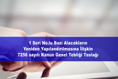 7256 Sayılı Kanun Genel Tebliği Taslağı