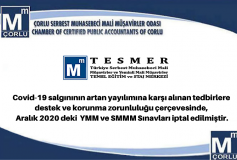 Tesmer/sinav