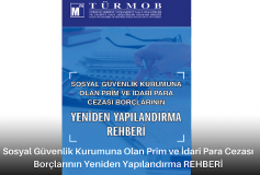 Sosyal Güvenlik Kurumuna Olan Prim Ve İdari Para Cezası Borçlarının Yeniden Yapılandırma Rehberi