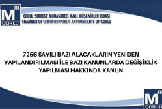 7256 Sayili Bazi Alacaklarin Yeniden Yapilandirilmasi İle Bazi Kanunlarda Değişiklik Yapilmasi Hakkinda Kanun