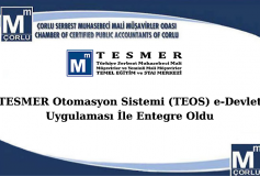 Tesmer Otomasyon Sistemi (Teos) Uygulaması E-Devlet Entegrasyonu