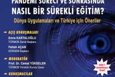Pandemi Süreci Ve Sonrasinda Nasil Bir Sürekli Eğitim? Dünya Uygulamalari Ve Türkiye İçin Öneriler